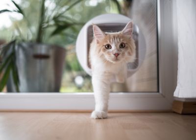 Experienced Pet Door Technicians